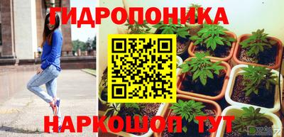 ГАЛЛЮЦИНОГЕННЫЕ ГРИБЫ Гусев